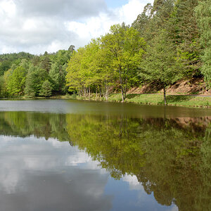 Weiher 1