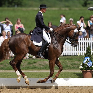 20090524 111821 Pferd Internatio 01