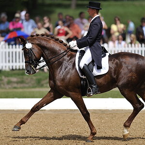 20090524 112009 Pferd Internatio 01