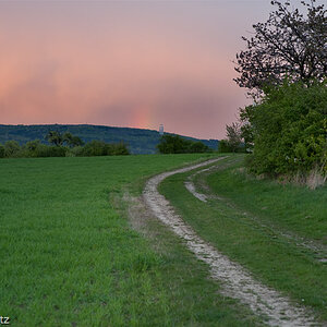 Abendspaziergang

Regenschauer über dem Ettersberg

Zeiss Distagon 85 mm f5.6 1/60s, ISO 400, Grauverlaufsfilter