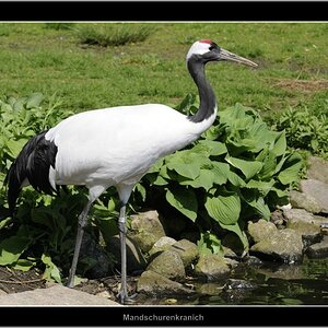 Vogelpark 12