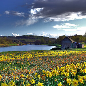 Aberdeen, schottischer Frühling - Fluss Dee-2009