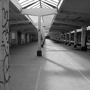 DSC 0077