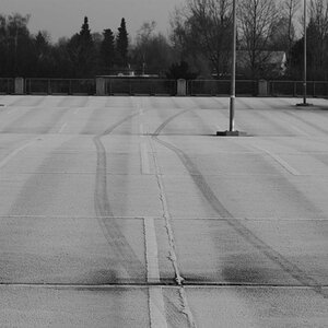 DSC 0037sw