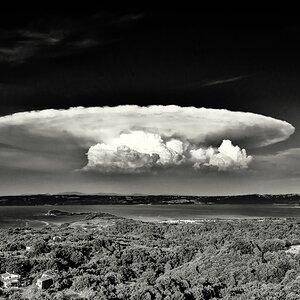 TZ ZIM 6281 2 SW