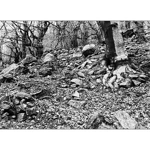 Tessin3aDSC 6733