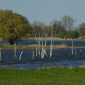 DSC 4346a