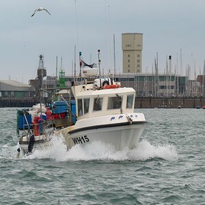 Fisherman returning to Portsmouth