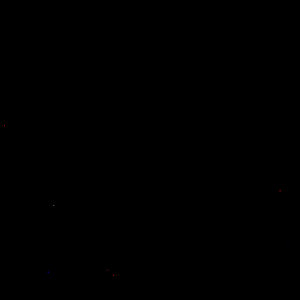 DSC 9181