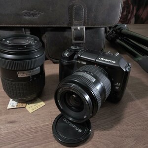 RSW 69541