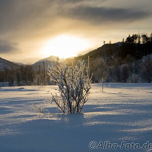 20160212 DSC07146 Kopie