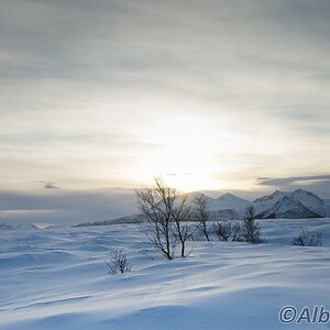 20160213 DSC07239 Kopie