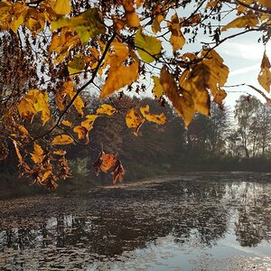 herbst