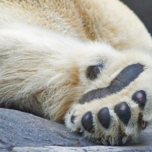 sleepy