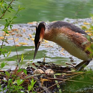 2016 09124