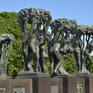 DSC 6532 Oslo