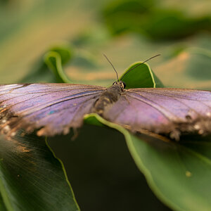 [No title]