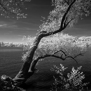Bodensee infrarot