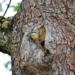 2016 09180