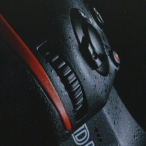 D4H 2297 crop+3EV