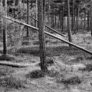L1015722 Bearbeitet