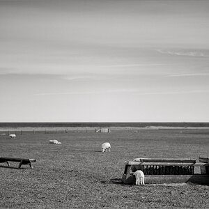 L1015765 Bearbeitet