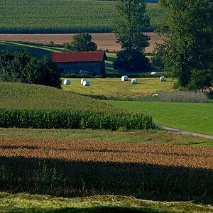 Heustadl