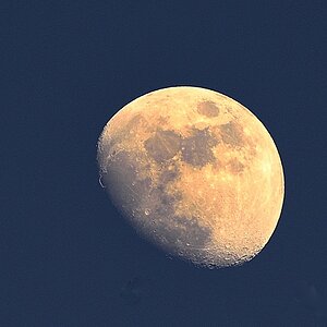 Mond DOC4365b 002