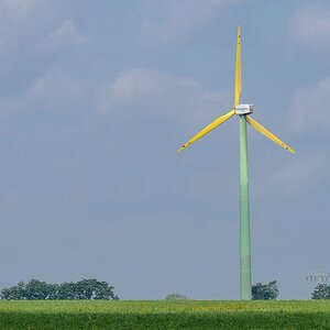 G001936c