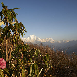 Nepal22 03 16–0215
