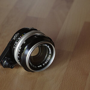 Nikkor 50mm 1,4 "Berg-und-Tal" Non-Ai oder auch "jüngerer Typ A"
Auf diesem Bild mit Adapter für Alpa Pignos