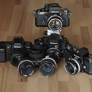 Meine 50er Nikkore - teilweise an ihren "entsprechenden" Kameras.

v.l.n.r. : 
AF-D 50mm 1,8 (F-801s) 
50mm 2 Ai
Micro-Nikkor 55mm 2,8 Ai-S;