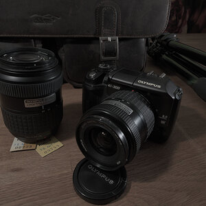 RSW 6954