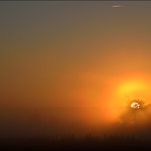 LichtPZ1 4962
