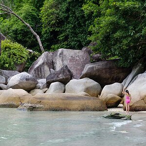 DSC6338
Turtle-Bay Perhentian