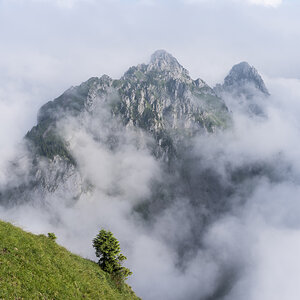 IMG8168 01