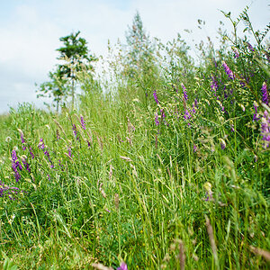 20160529 20160529 DSC03837