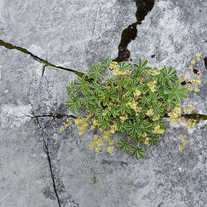 IMG8266 01