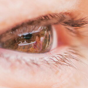 27883812204 NEU