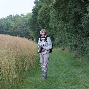 comp am Wegesrand