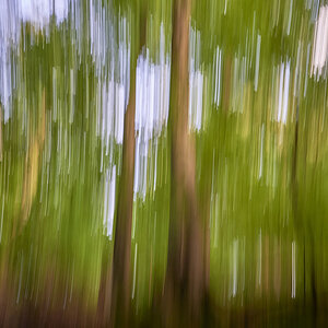 Wischer01