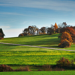 Herbst05
