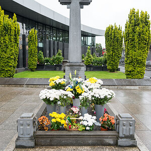GrabMichaelCollins