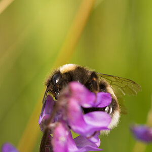 [No title]