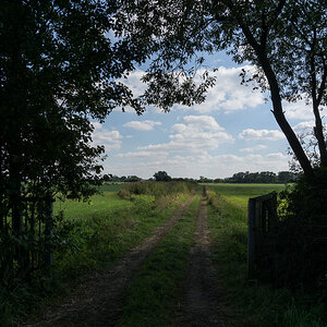 DSC0241