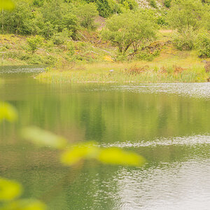 [No title]