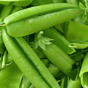 Erbsenschalen1