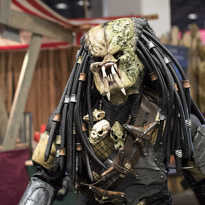 Predator 1200x1200