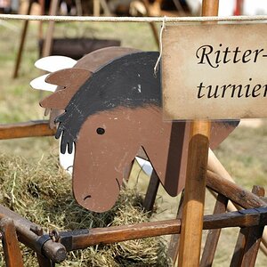 Edle Rösser bei der Fütterung