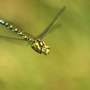 D3C 6687nx